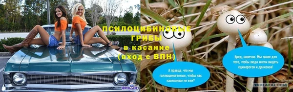 мяу мяу мука Арсеньев